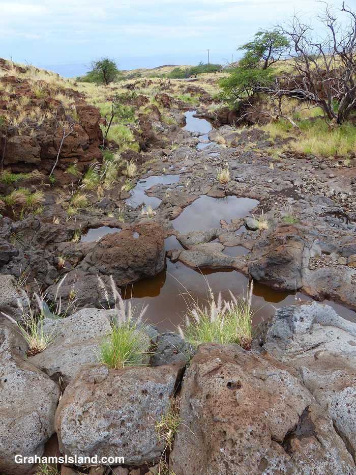 A dry riverbed in Hawwaii