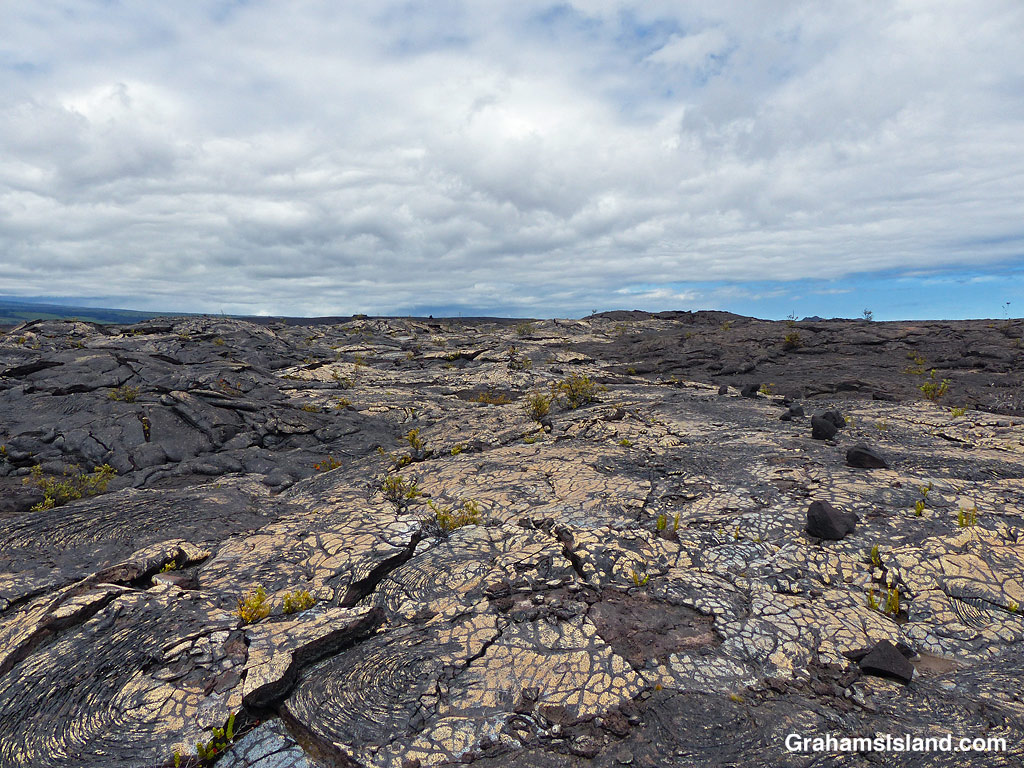 Colored lava on the Ka'u Desert Trail, Hawaii