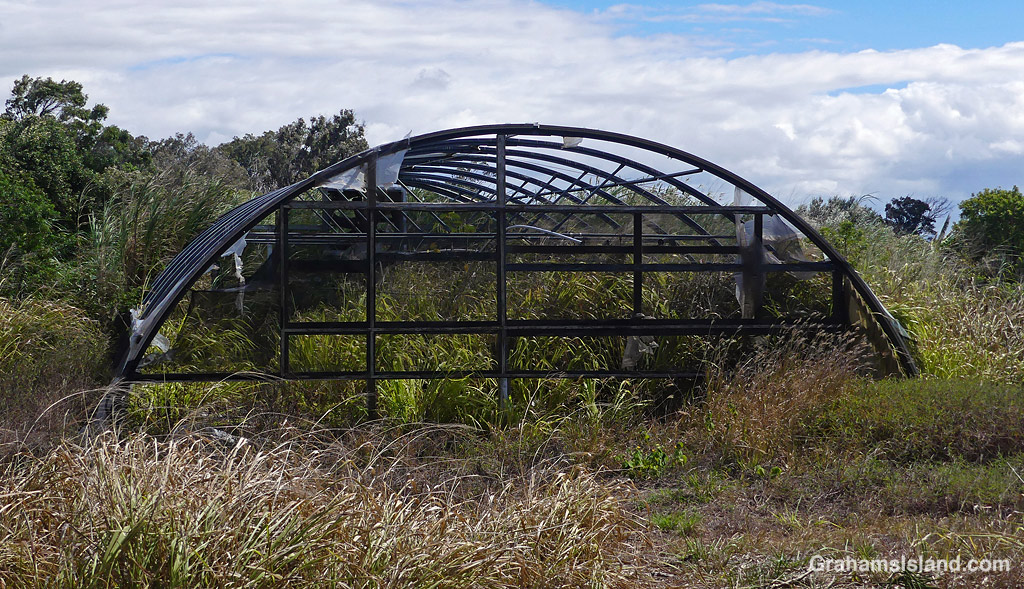 A derelict greenhouse in Hawaii still has plants growing in it
