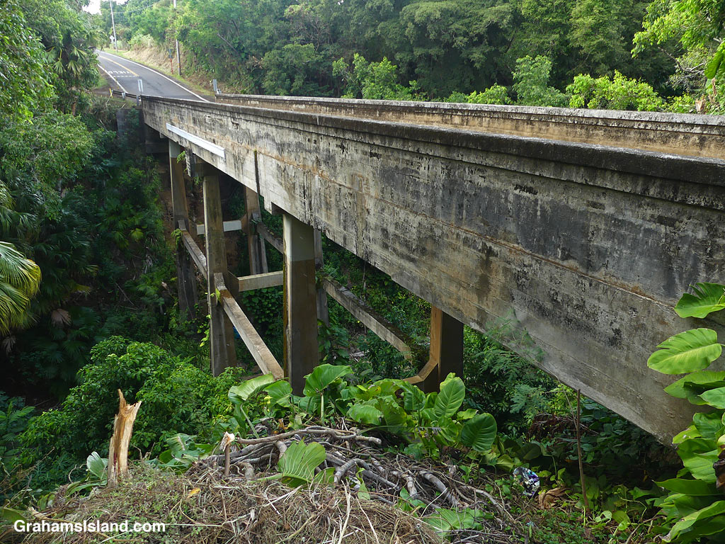 A bridge over a gulch in North Kohala, Hawaii