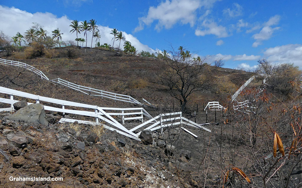 Damaged fences around Kohala Ranch, on the Big Island Hawaii, following a brush fire