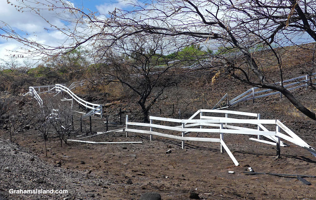Damaged fences around Kohala Ranch, on the Big Island Hawaii, following a brush fire