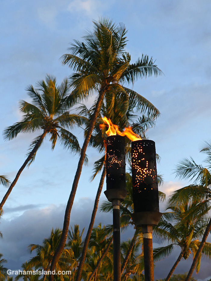 Tiki torches burn against a backdrop of palm trees in Hawaii